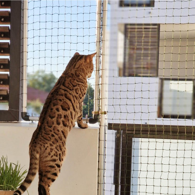 Filet pour chat fenêtre