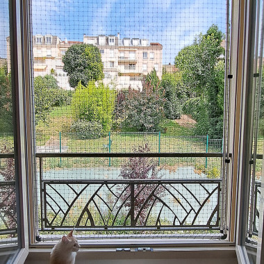 Protection chat fenêtre